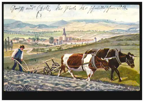 AK Artiste A. Müller, Bitz: Études de la nature - Enchaînés au bœuf au charrue 26.2.1906
