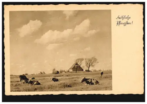 Foto-AK Landschaftsbild mit Kühen und Bauernhaus, EINSWARDEN (OLDENBURG) 30.5.41