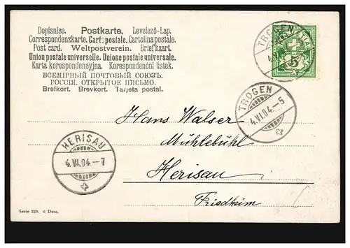 Künstler-AK Rinder und Ziegen auf der Alm, TROGEN 4.6.1904 nach HERISAU 4.6.04