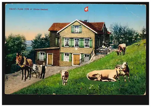 Suisse AK Hörnli-Kulm 1135 m (Oberland de Zurich), STEG (ZÜRICH) 8.8.1921