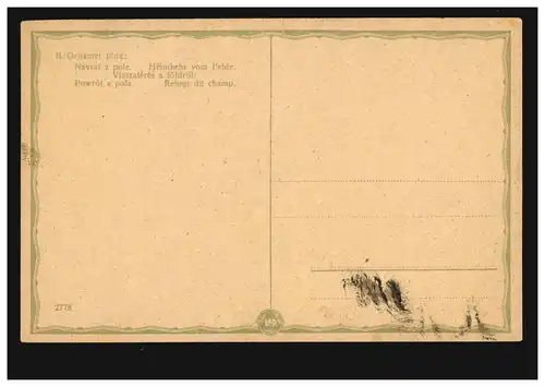 AK B. Genzmer: Retour des champs avec des vaches, inutilisé