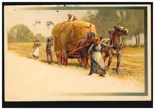 AK animaux récolte de foin avec des raquettes de chevaux, FRANKFURT/MAIN-BOCKENHEIM 19.11.1907