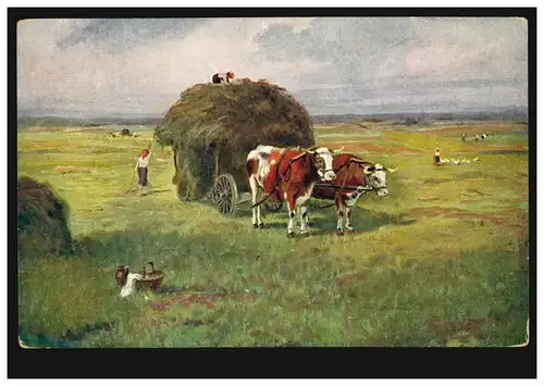 Künstker-AK B. Klimes: Animaux - Fleurs avec attelage à bœuf, non utilisés