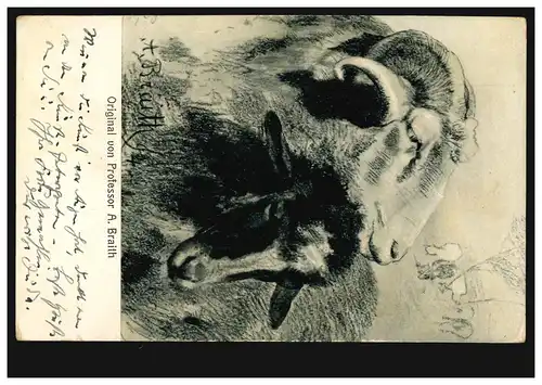 Künstler-AK Prof. A. Braith: Ziegen-Paar, BIBERACH (RISS) 26.5.1910