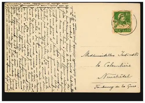 Suisse Photo-AK Dans les montagnes: troupeau de bovins dans les pâturages, 7.1.1915