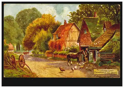 AK Coppersale à Epping / Essex: ferme avec cheval et poulet, inutilisé