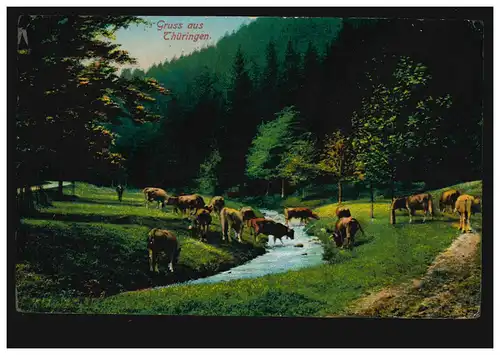 AK Gruss aus Thüringen: Rinder überqueren einen Bach, ungebraucht