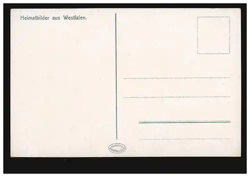 AK Heimatbilder aus Westfalen: Weidende Rinder / Westfalenlied, ungebraucht