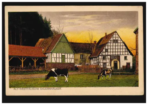 AK Alt-Westfälische Bauernhäuser: Bauernhaus aus dem Siegerland, ungebraucht