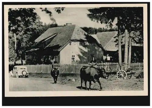 AK Forsthaus Birkenmoor sur Ilfeld / Nordhausen avec vaches, inutilisé DDR-1956
