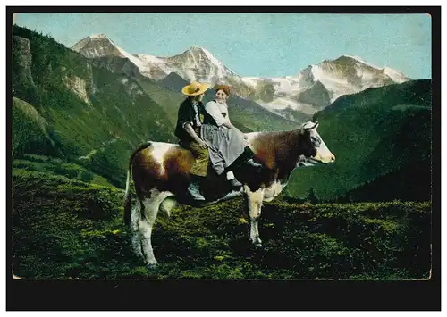 Tiere-AK Kinder auf einer Kuh im Alpenvorland, DUISBURG 15.1.1907