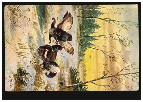 Poste ferroviaire ILMENAU-THEMAR 1907 sur l'artiste AK Rösler: Poules extérieures près de la Balz