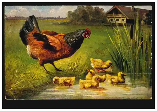 AK ferme artistique - Poulet avec poussin à l'étang, FRANKFURT/MAIN 25.3.1910
