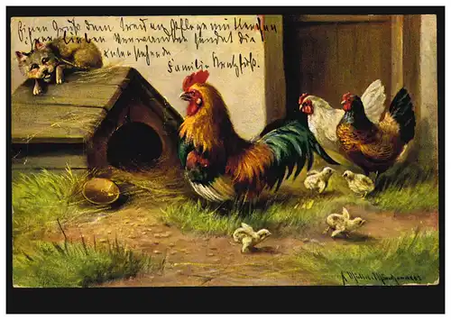 Artiste-AK Hahn défend les poules et les poussins devant le chien de maison, 29.7.1904
