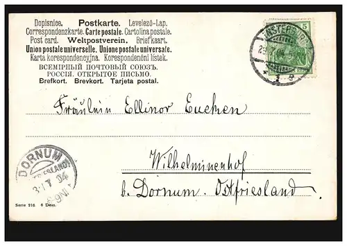 Künstler-AK Hahn verteidigt Hennen und Küken vor dem Haushund, 29.7.1904