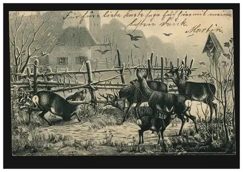 Tiere-AK Rehe durchbrechen Absperrung, LÜBBEN (LAUSITZ) 7.2.1902 nach MÜNCHEBRG