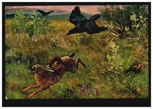 AK Kraften-Gräbheim: Un cheval de lion - La belette sur le lapin avec des corbeaux, 20.6.1911