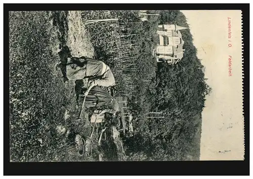 AK Lindenfels / Odenwald: Travail sur le terrain - Femmes à la récolte de pommes de terre, 2.8.1911