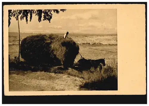 AK Agriculture: attelage à cheval avec moissonneuse de foin, BETZDORF (SIEG) 31.8.1938