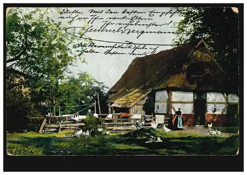 AK Agriculture: Ferme - Séchage au linge avec poulet et chien, 1906
