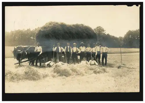 Foto-AK Landwirtschaft: Ochsengespann mit Heuwagen, Feldarbeiter, EBSTORF 1914