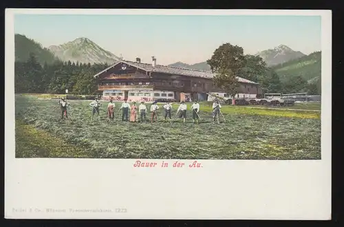 AK Landwirtschaft: Bauer in der Au - Beim Heuwenden, ungebraucht, um 1920