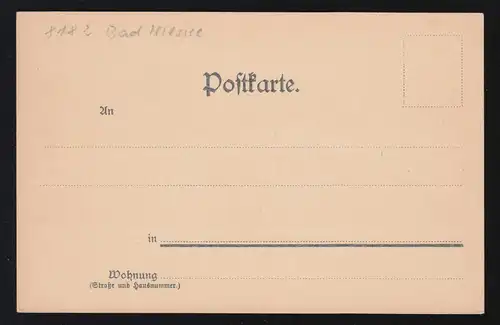 AA Agriculture: paysan dans la Au - En faisant pousser, inutilisé, vers 1920