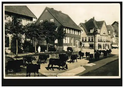 Foto-AK Braunlage im Oberharz: Braunlager Damenkapelle Rinderherde, um 1930 