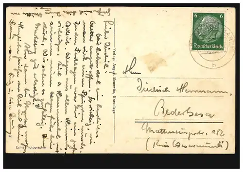 Photo AK Brunlage dans la résine supérieure: Braunstock Damen chapelle troupeau de bovins, vers 1930