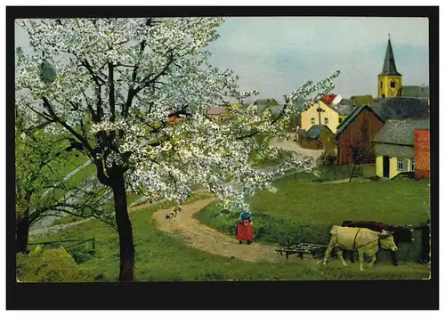 Printemps AK dans le village - paysan et paysanne avec des bœufs, 12.11.1913