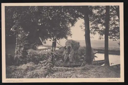 Photo AK Obernewland: moissonneuse de foin - transport avec du bateau, inutilisé vers 1930