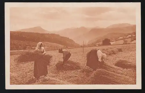 Foto-AK Die Getreideernte - Bauern beim Garbenbinden, ungebraucht, um 1920