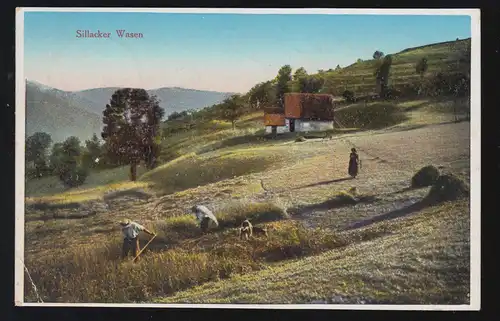 AK Sillacker-Wasen chez Metzeral: agriculteurs dans les champs - récolte de céréales, poste de campagne