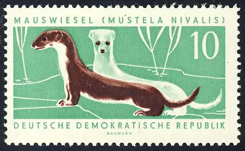 870 Geschützte Tiere Wiesel 10 Pf **