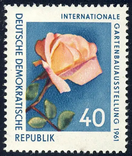 856 Gartenbauaustellung Edelrose 40 Pf **