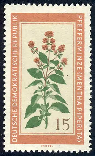 759 Plantes médicinales menthe poivrée 15 pf **