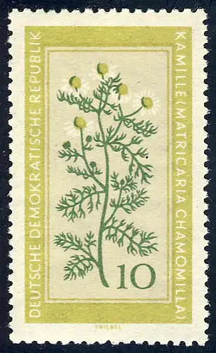 758 Plantes médicinales camomille 10 Pf **