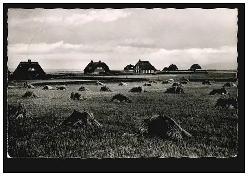 Foto-AK Nordseebad Kampen auf Sylt - Am Watt mit Getreidepuppen, SSt 15.7.1957