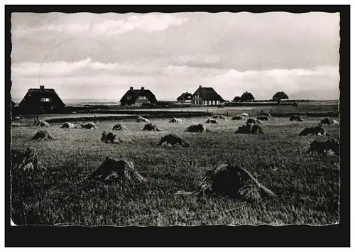 Photo-AK Mer du Nord Bain Kampen sur Sylt - Am Watt avec poupées de céréales, SSt 15.7.1957