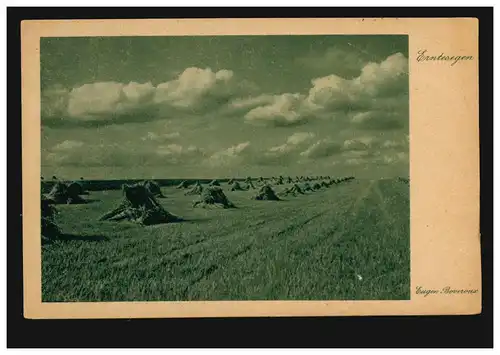 Photo AK Eugen Boveroux: cueillettes - champ de céréales vide avec poupées, inutilisé