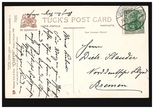 Hongrie AK Une ferme avec porcs, TUCK'S POSTCARD, Düsseldorf 14.5.10