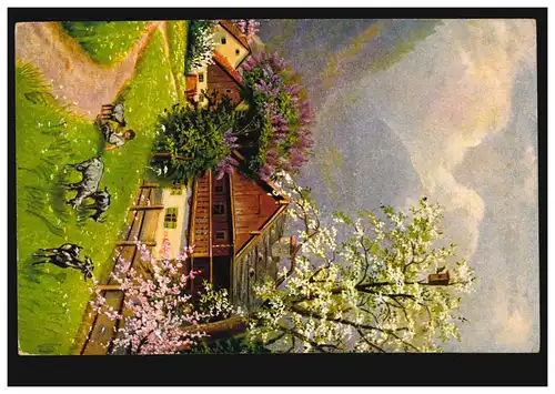 AK Artiste Agriculture: Dorfidylle avec chèvres, inutilisé vers 1920