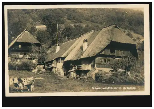 Foto-AK Schwartwaldhäuser im Gutachtal mit Kühen, ungebraucht, um 1930