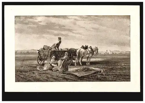 AK Agriculture Travaux de terrain: récolte de pommes de terre avec des chevaux, non utilisés