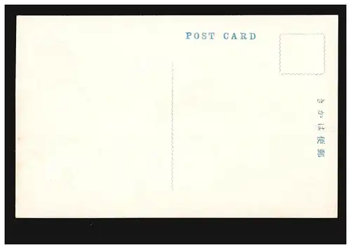 AK Artiste à la récolte de thé: femmes dans une plantation de Thé, inutilisé vers 1930