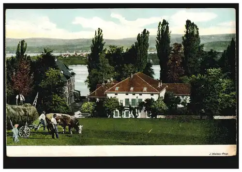 Photo AK Paysage avec des maisons au lac Randonnées de bœufs, inutilisé vers 1920