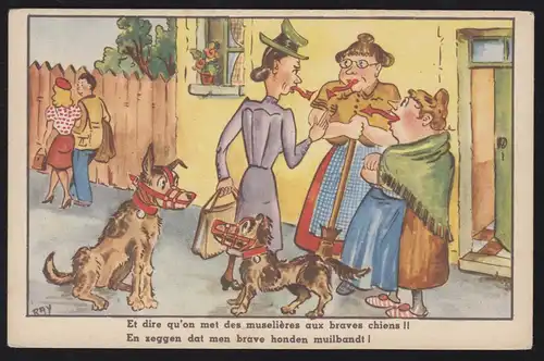 Humour-AK chiens avec muselière et bavardage, inutilisé vers 1920