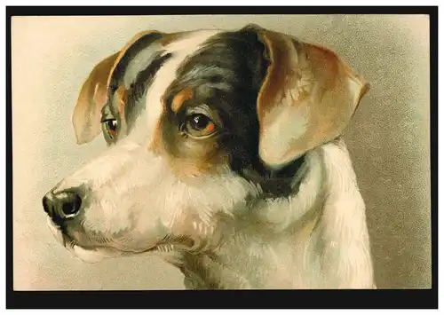 Portrait de chien animal-AK, inutilisé vers 1920