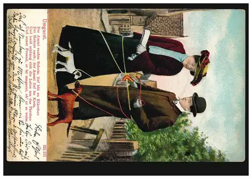 Tiere-AK Umgarnt! Hunde bringen Paar zusammen, GREIZ 1906