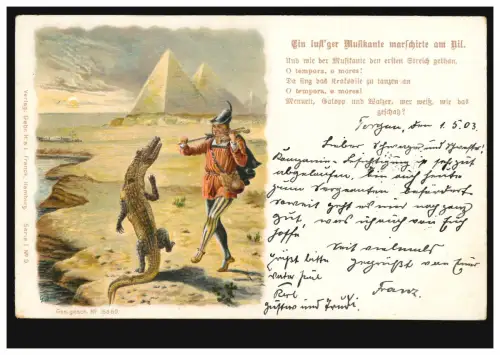 Crocodile animal-AK: chanson populaire - Une musicienne drôle ..., TORGAU 1.5.1903